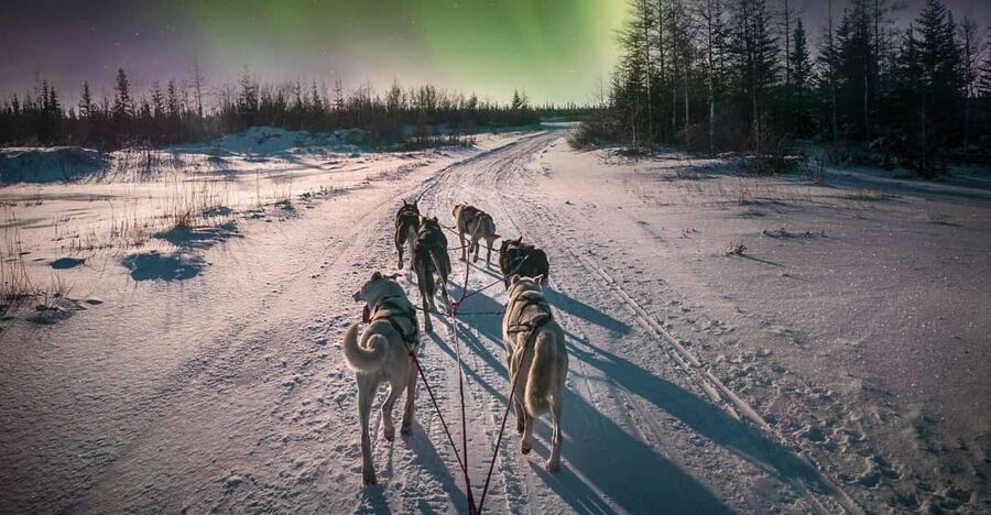 Alta: Dog Sledding Trip under the Northern Lights - Gargia Mountain Lodge: Coffee, Snacks, and Local Storytelling