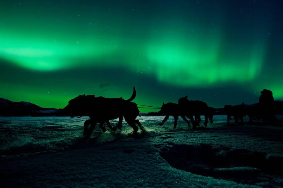 Alta: Dog Sledding Trip under the Northern Lights - Getting Ready: What to Bring and What Not to Bring