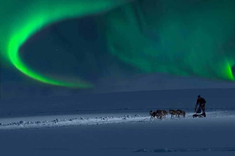 Alta: Dog Sledding Trip under the Northern Lights - Should You Book Alta Dog Sledding Under the Northern Lights?