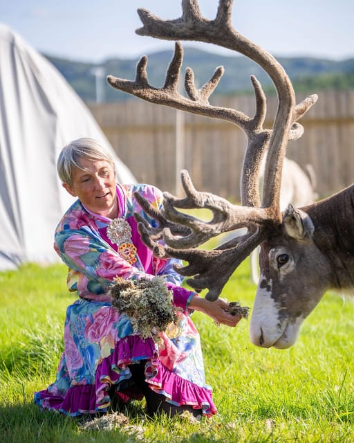 Alta: Reindeer - A carrier of Sámi Culture - Visiting the Sámi Siida, where animal care comes first