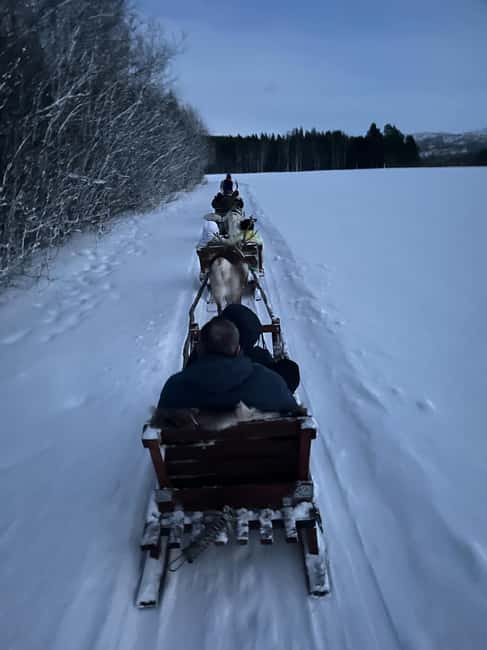 Alta: Reindeer Ride - Key highlights to look for