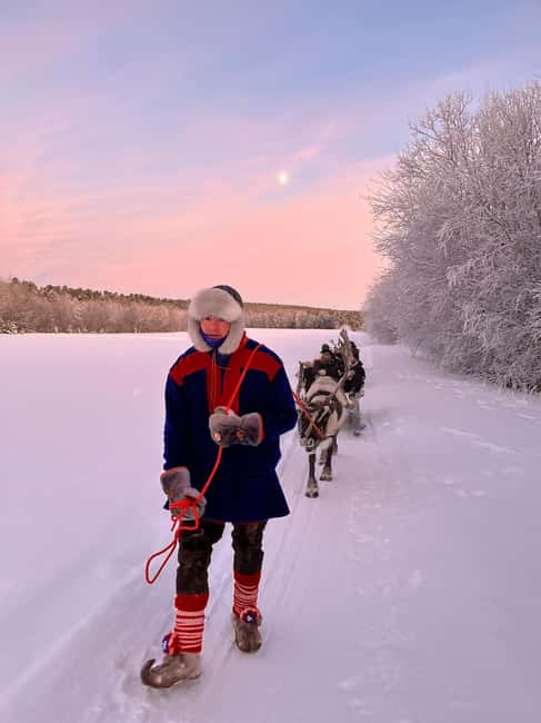 Alta: Reindeer Ride - Who this trip suits best, and who should double-check mobility needs