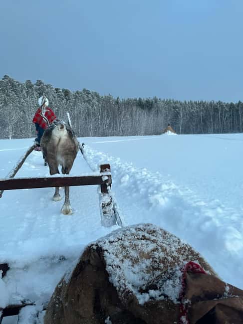 Alta: Reindeer Ride - Your packing checklist for cold Alta nights