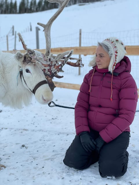 Alta: Sami Cultural Experience with Lavvu and Reindeers - Key highlights you’ll feel right away