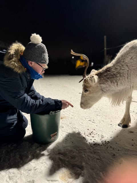 Alta: Sami Cultural Experience with Lavvu and Reindeers - Bonfire coffee or tea and Masi cake: the calm break that helps learning
