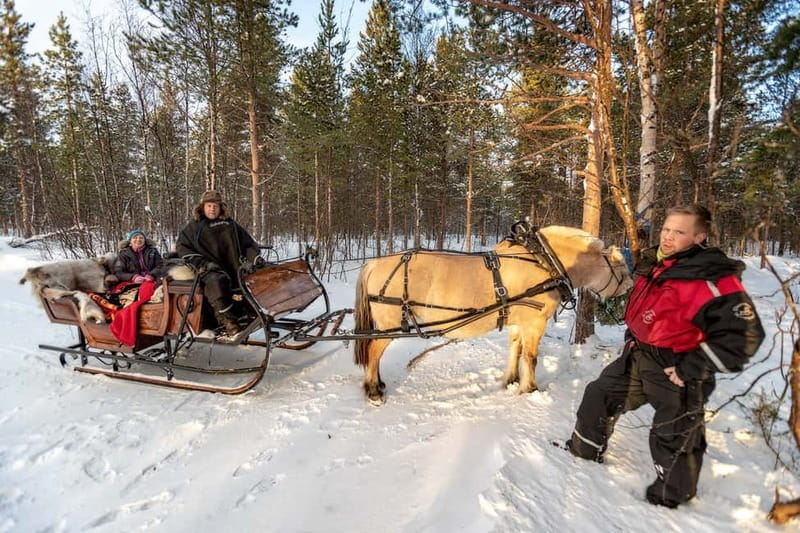 Alta: Sleigh Ride in the Arctic Countryside - Key Highlights You Should Care About