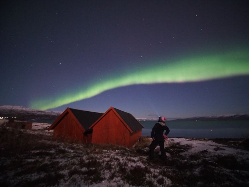 Alta: Small-Group Guided Northern Lights Tour - Northern Lights hunting in Alta, and what makes this tour different