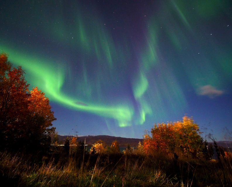 Alta: Small-Group Guided Northern Lights Tour - Photo help without tripods: what you should plan for