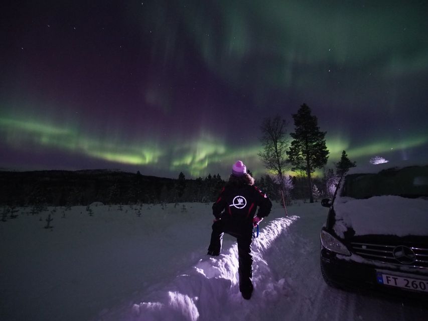 Alta: Small-Group Guided Northern Lights Tour - Price and value at about $251 per person