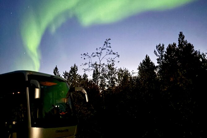 Alta: The Northern Lights Bus – a comfortable Arctic journey - Alta Northern Lights Bus: what you are really signing up for in 3 hours