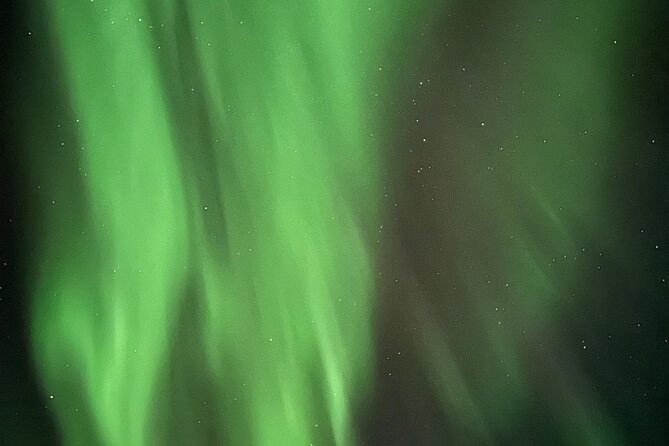 Alta: The Northern Lights Bus – a comfortable Arctic journey - The hunt itself: how the guide finds spots when clouds roll in