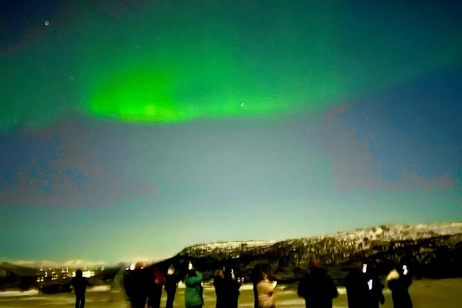 Alta: The Northern Lights Bus – a comfortable Arctic journey - Group size, bus vs car, and what it changes for your photos