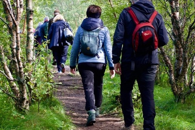 Arctic Coastal Walk - The guided route: coastal forest, quick stories, and frequent look-outs
