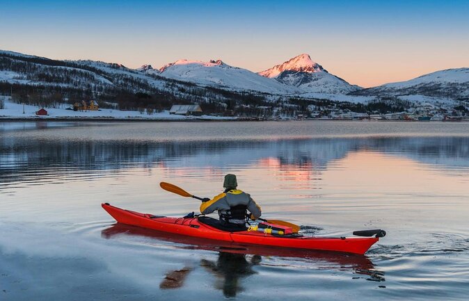 Arctic Fjordcruise & Safari in Tromso with Luxury Catamaran - Key things I’d focus on before you book