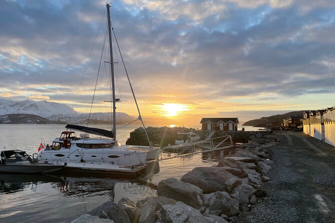 Arctic Fjordcruise & Safari in Tromso with Luxury Catamaran - Luxury on a 3-hour Tromsø Fjords cruise, with a small-group feel