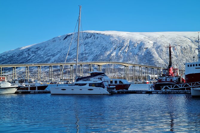 Arctic Fjordcruise & Safari in Tromso with Luxury Catamaran - WW2 stories from the water: Tirpitz and local maritime history