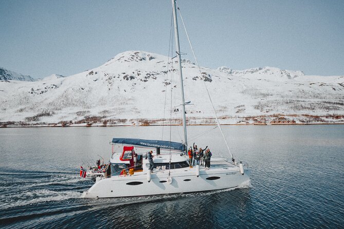 Arctic Fjordcruise & Safari in Tromso with Luxury Catamaran - Rya and Fjellheisen: the stops that shape wildlife and views