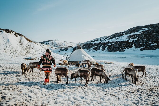 Arctic Fjords and Reindeer Experience – Small group tour - Key highlights you should not miss