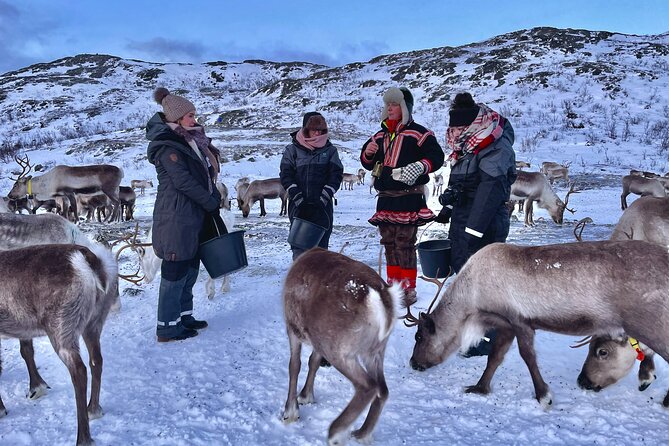 Arctic Fjords and Reindeer Experience – Small group tour - Who should book this Tromsø day trip