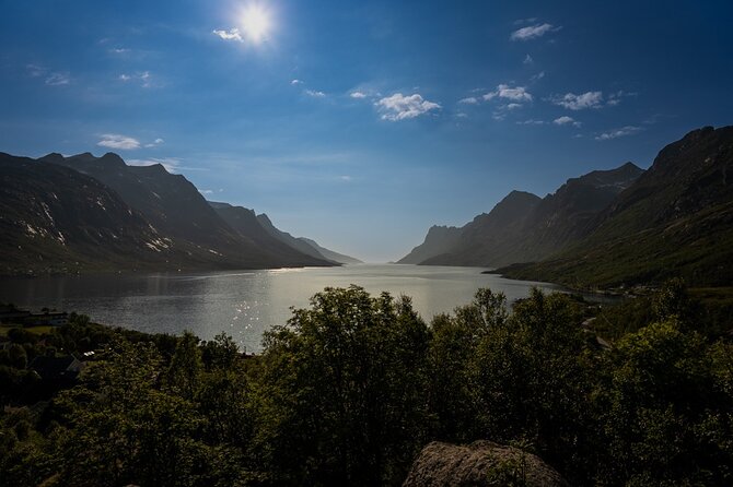 Arctic Fjords Sightseeing Adventure with Arctic Navigator - The guide and the “warm finish” that makes people happy