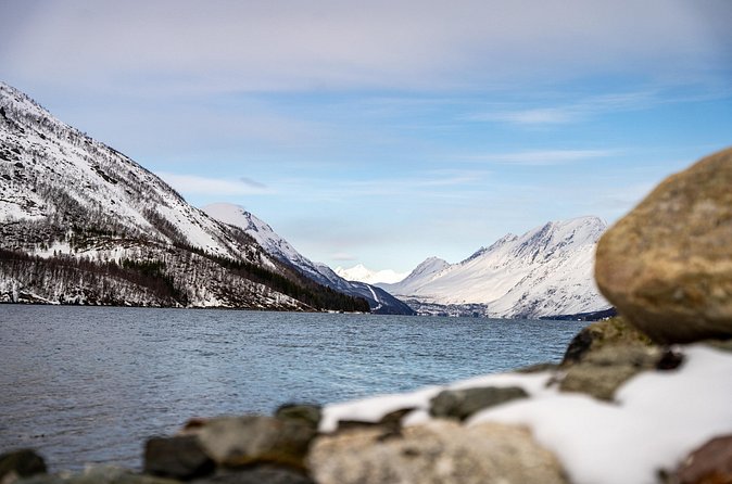 Arctic Fjords Sightseeing Adventure with Arctic Navigator - Value check: is $139.93 per person fair?