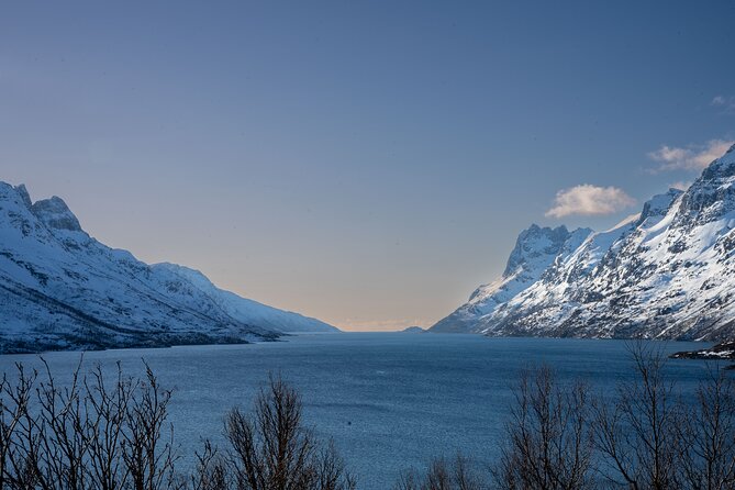Arctic Fjords Sightseeing Adventure with Arctic Navigator - Group size and the pacing: what “max 10” changes