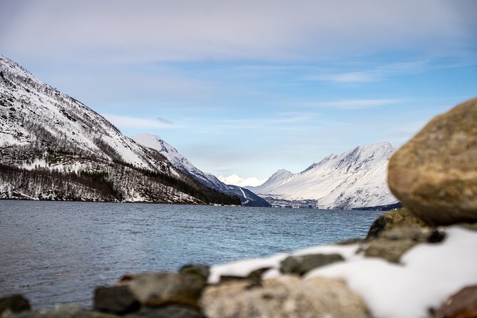 Arctic Fjords Sightseeing Adventure with Arctic Navigator - Weather matters more than you think
