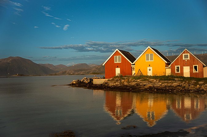 Arctic Fjords Sightseeing Adventure with Arctic Navigator - How to make the most of a short, scenic day