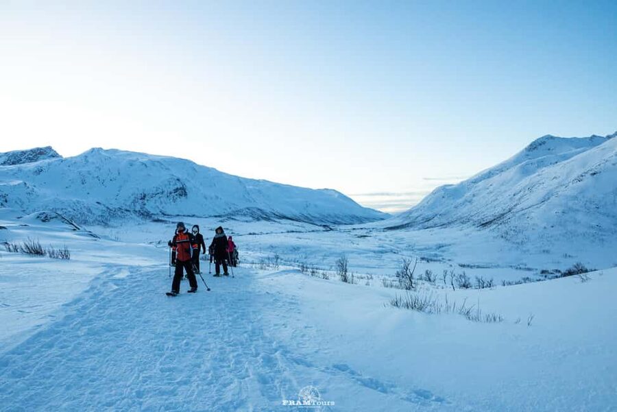Arctic hike on Kvaløya Island with drinks and snacks - Key things to know before you go