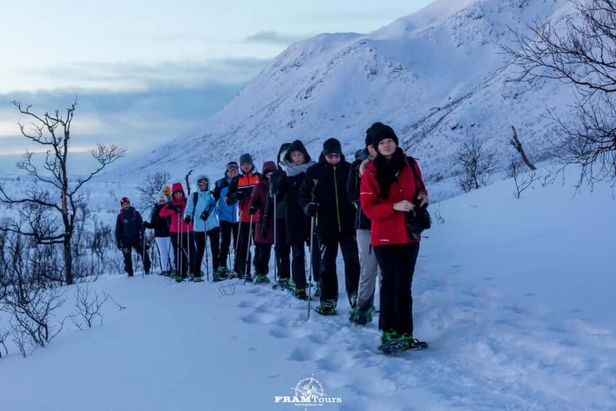Arctic hike on Kvaløya Island with drinks and snacks - From YONAS PIZZA to the trail: the minivan set-up