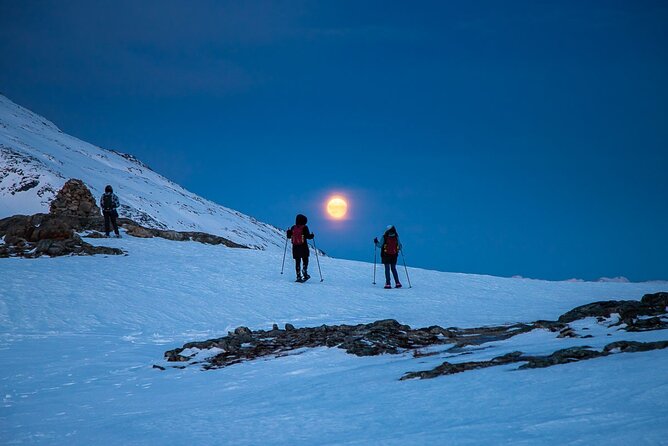 Arctic Landscapes Hiking, Sightseeing & Snowshoeing Private Tour - Tromsø Fjords on 4x4, then a walk you can actually enjoy