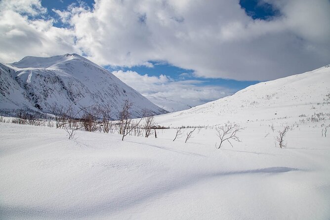 Arctic Landscapes Hiking, Sightseeing & Snowshoeing Private Tour - How the guide turns stops into better photos