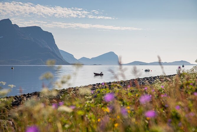 Arctic Landscapes Hiking, Sightseeing & Snowshoeing Private Tour - Who should book this Tromsø fjord hiking and snowshoeing day