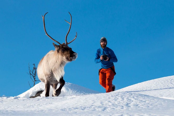 Arctic Nature Photography Sightseeing Tour from Tromso - Key Highlights You Actually Feel During the Day