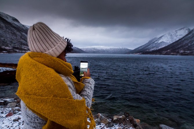Arctic Nature Photography Sightseeing Tour from Tromso - Price and Value: Why $156.08 Can Make Sense