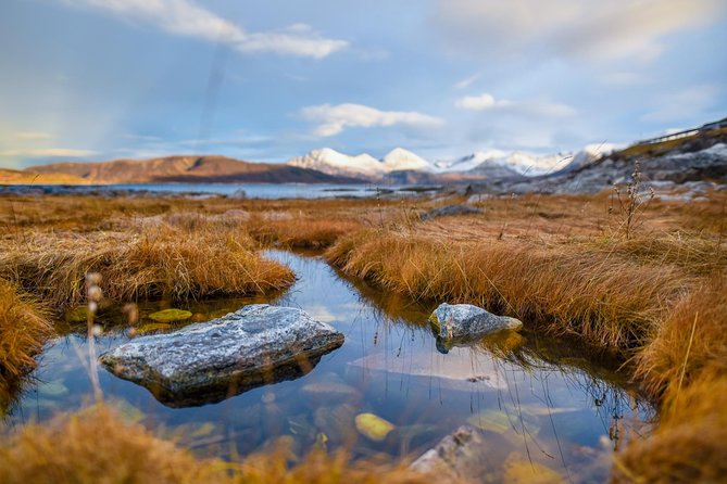 Arctic Nature Tour from Tromsø by minibus - The core experience: stops across Kvaløya’s fjords, frozen water, and beaches