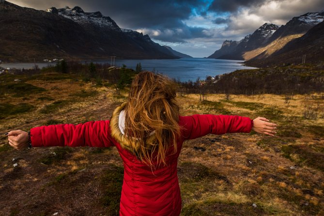Arctic Nature Tour from Tromsø by minibus - Wildlife chances: reindeer, seals, sea eagles, and moose