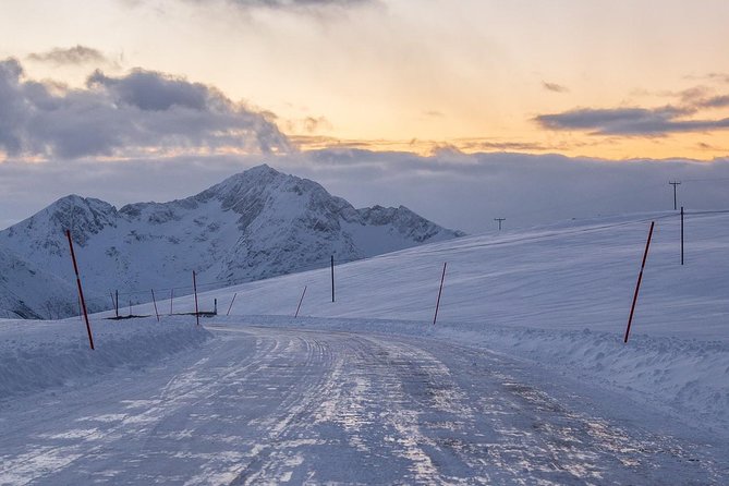 Arctic Nature Tour from Tromsø by minibus - Food and hot drinks: it’s included, and it actually helps