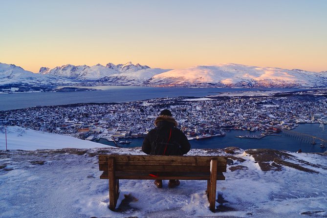Arctic Panorama cable car excursion - Who this tour fits best in real life