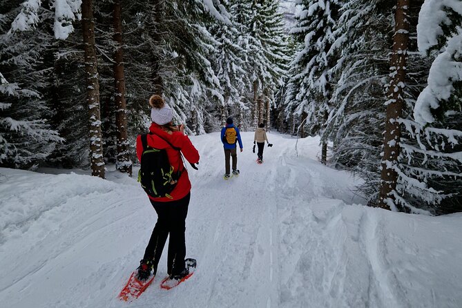 Arctic Snowshoe Hike in Norway - Snowshoes, Poles, and What Happens When Snow Is Thin
