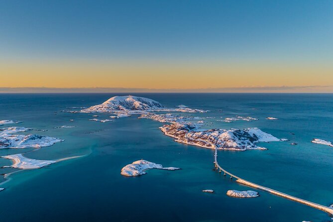 Arctic Wildlife and Fjord Sightseeing - Wildlife expectations: yes, but treat it like wildlife, not a guarantee