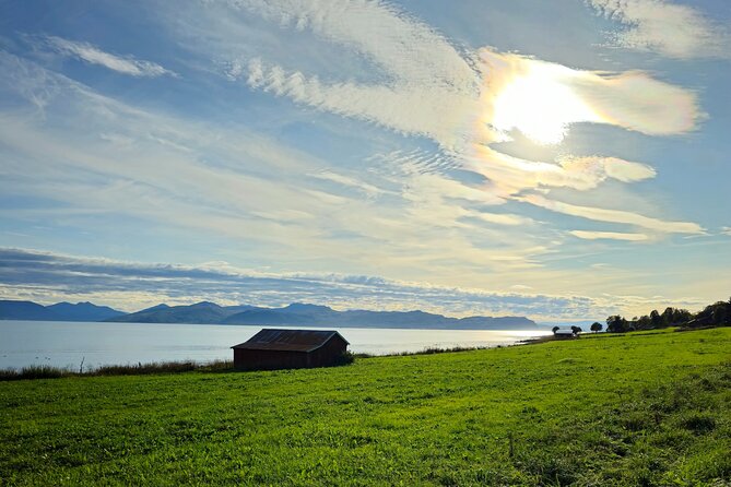 Arctic Wildlife and Fjord Sightseeing - Photography and timing: where the best shots usually come from