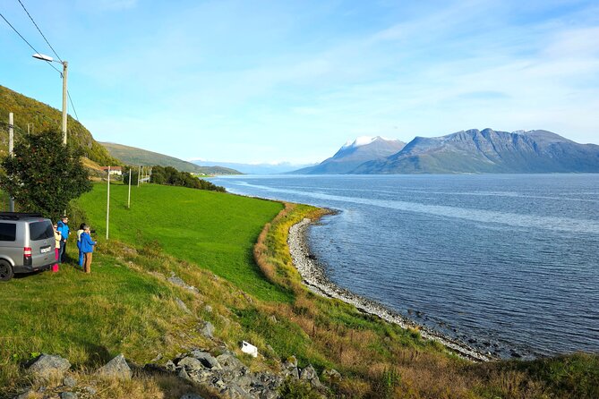 Arctic Wildlife and Fjord Sightseeing - Lunch, warmth breaks, and keeping your energy up