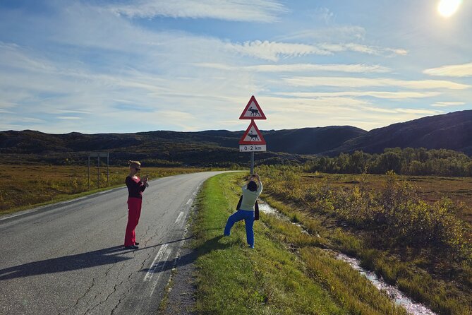 Arctic Wildlife and Fjord Sightseeing - Who this tour is best for, and who should skip it