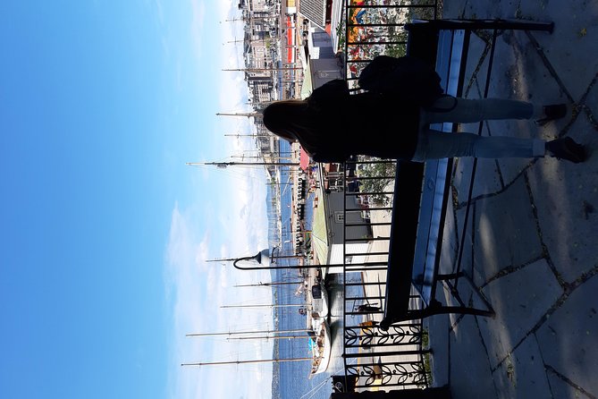 Art and Museum Tour of Oslo - Why Oslo art feels different on this kind of tour