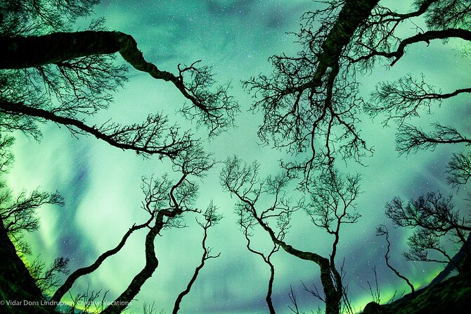 Aurora Adventure Tour with Creative Vacations - Why Tromsø for the northern lights, and why 5:30 pm matters