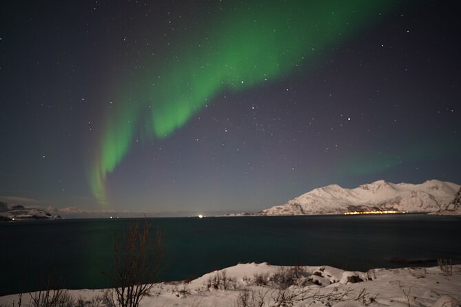 AURORA DAİLY Northern Lights Safari Tour 8 Guests with PİCKUP - Key Highlights You’ll Actually Care About