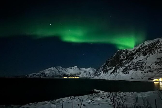 AURORA DAİLY Northern Lights Safari Tour 8 Guests with PİCKUP - Who Should Book This Tour, and Who Might Prefer Another Style