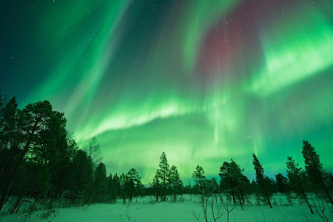 Aurora Hunt with the campfire and professional photographer - Timing, group vibe, and what the return to Tromso feels like