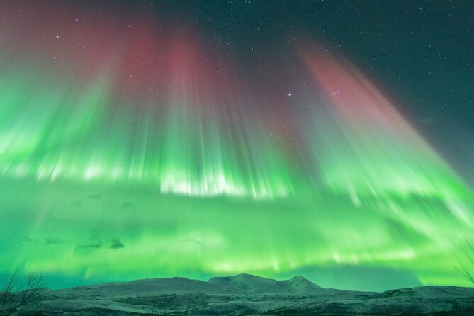 Aurora Hunt with the campfire and professional photographer - Food in the cold: warm soup plus Arctic fuel for long waiting